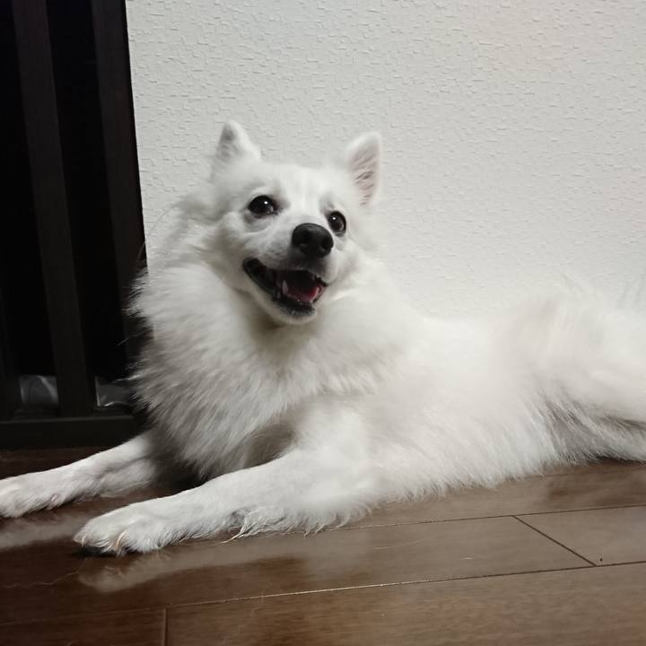 2ec9dc8e 707f 4b07 9e69 961ca987bc6b 1537263729077