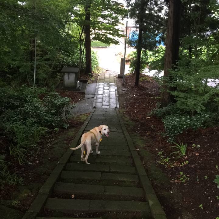 2eca2742 8f79 4ecd 958f 3604c83671e7 1567432059934