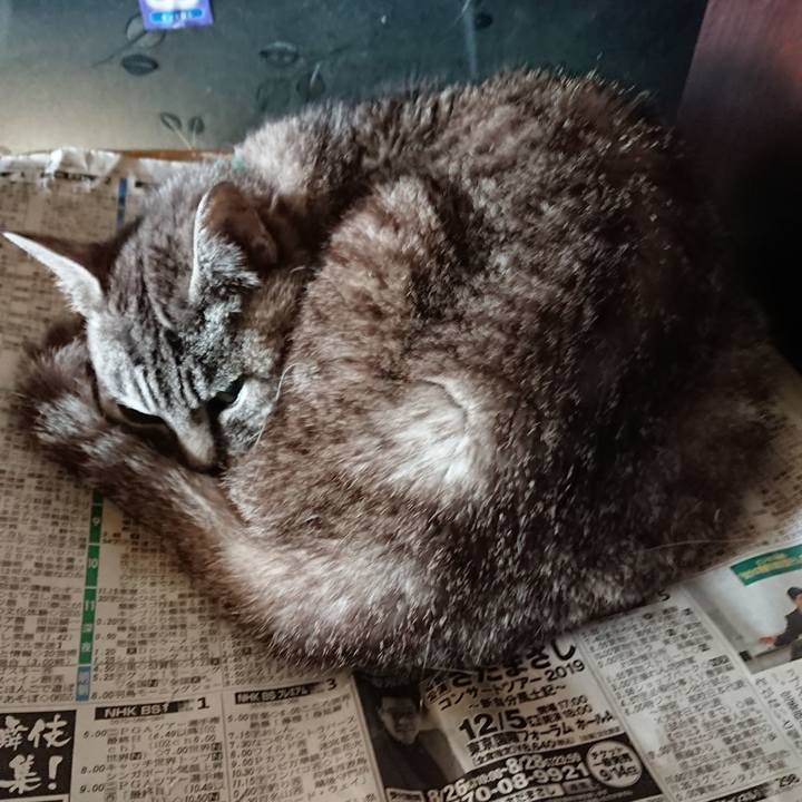 2eca2f0f 5842 43fc 848b cfa53f5da047 1569107501095