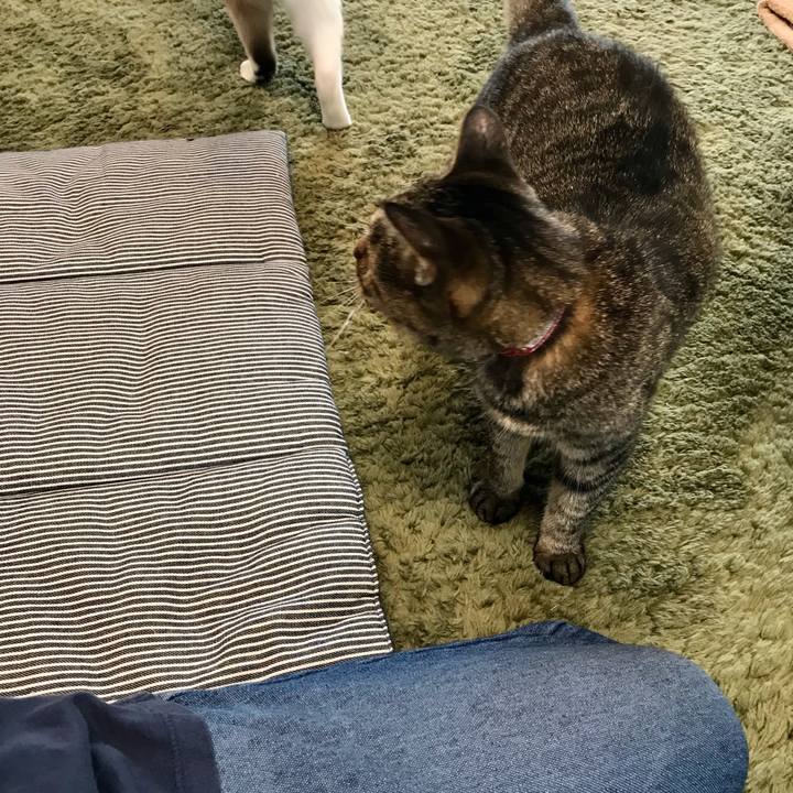 2eca2f86 6e7f 4bbe b829 242b5d1807a8 1631086955002