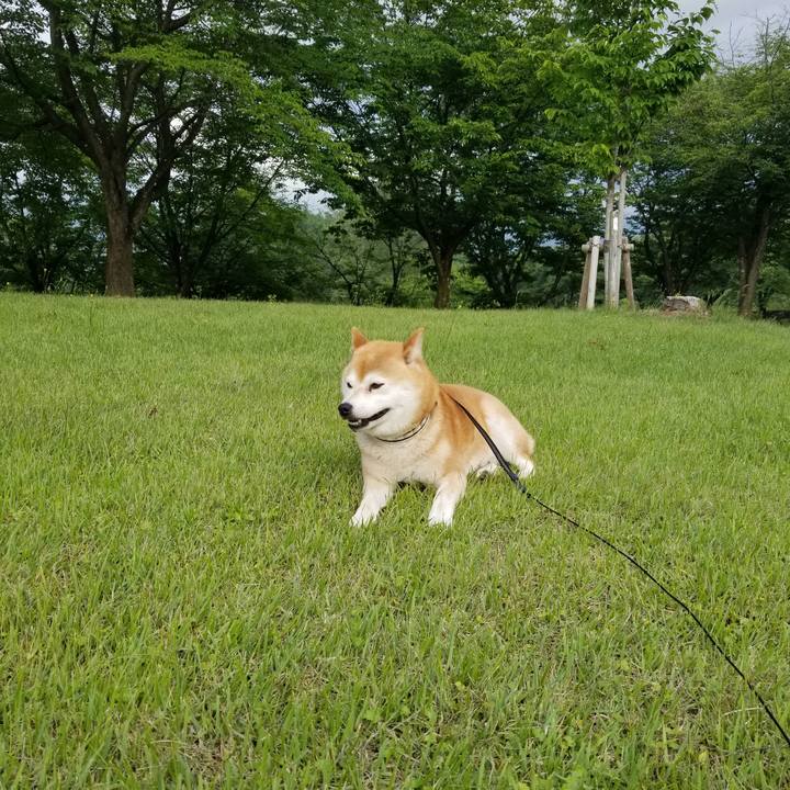 2eca56e4 307a 4924 b3fd b0cefcb46613 1592293961776