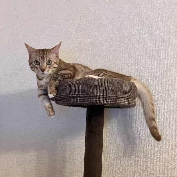 2eca8570 6a8a 49c1 8c08 6ab45ddb2f68 1678024726347