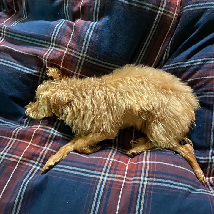 2ecaa627 73e2 440d 828c e37d7eaae44d 1618579975197