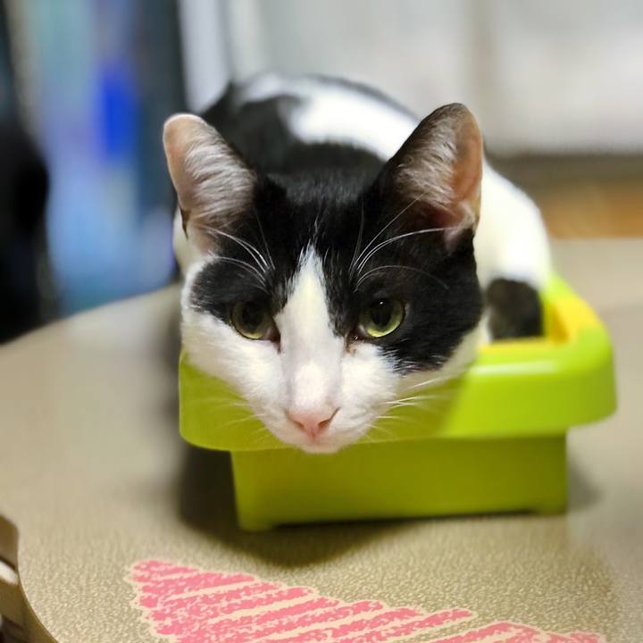 2ecb11c3 b803 4d68 bed6 036f167fef05 1508390338702