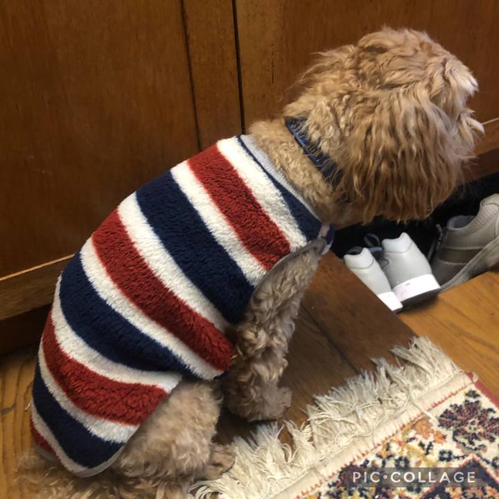 2ecb1352 9095 45b2 8471 17933f1ad5f5 1671439210103