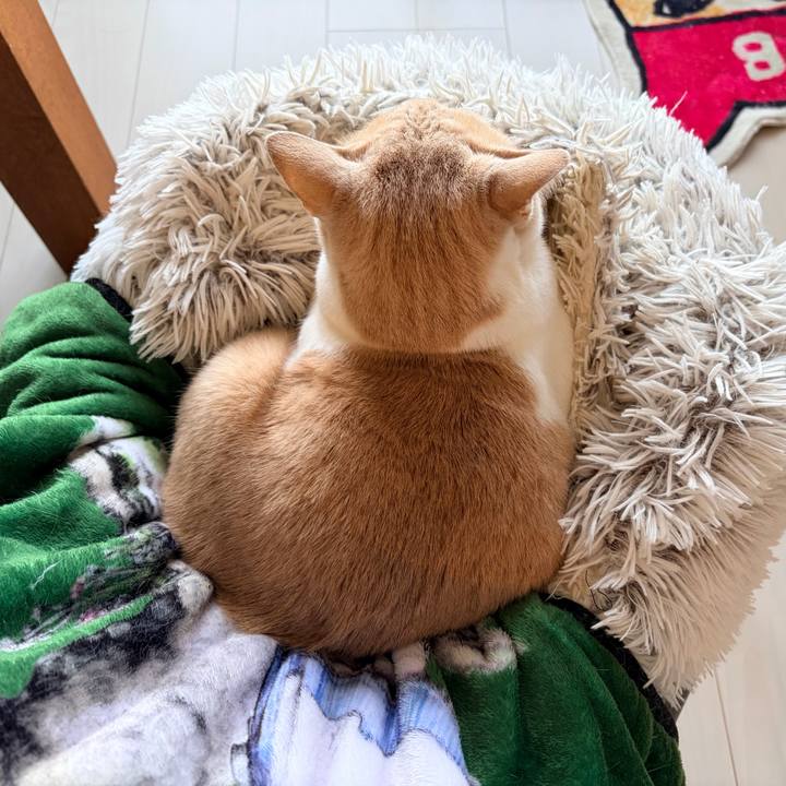 2ecb139f 81a3 43de 92d5 30ece95ed294 1766880465760