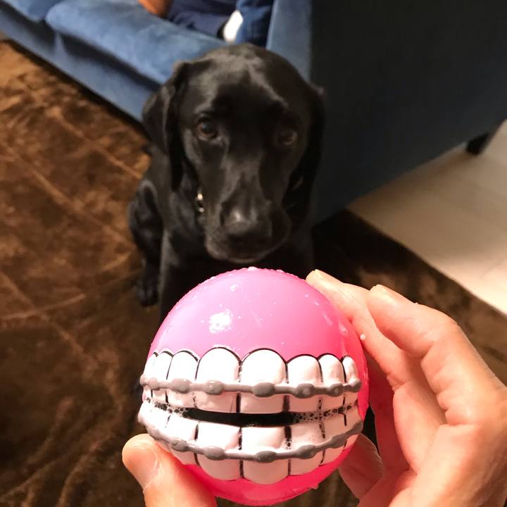 2ecb2c1e 9e7b 4c72 9763 99da2973cd06 1585364647714