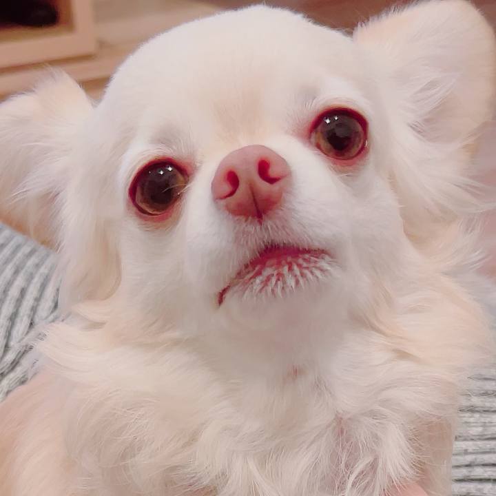 2ecb5a00 e353 438b bd6e e7fd9a39dd00 1701342932532