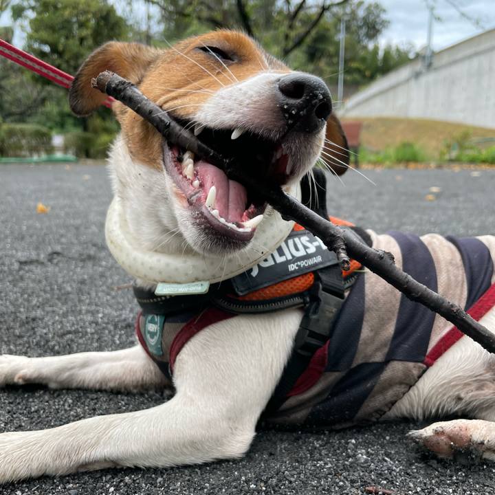 2ecb6b25 fb41 4709 acf6 0ea29299740c 1695381545723