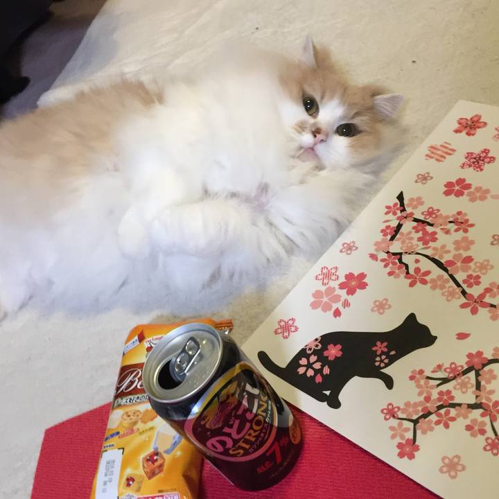 2ecb713f 1b56 4f9f b5d2 dffb8a8ee0d2 1522501167532