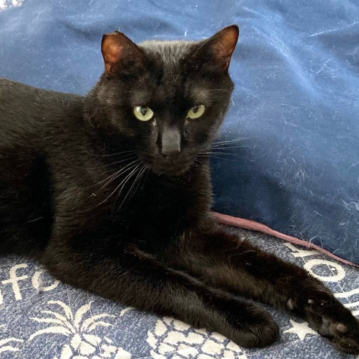 2ecb8877 287b 4b82 976c 77654fec38b4 1631353146923