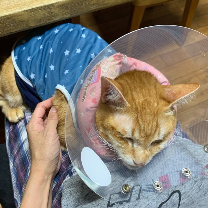 2ecbda60 ca7c 4105 ab58 3e6f014d94ad 1630533264537