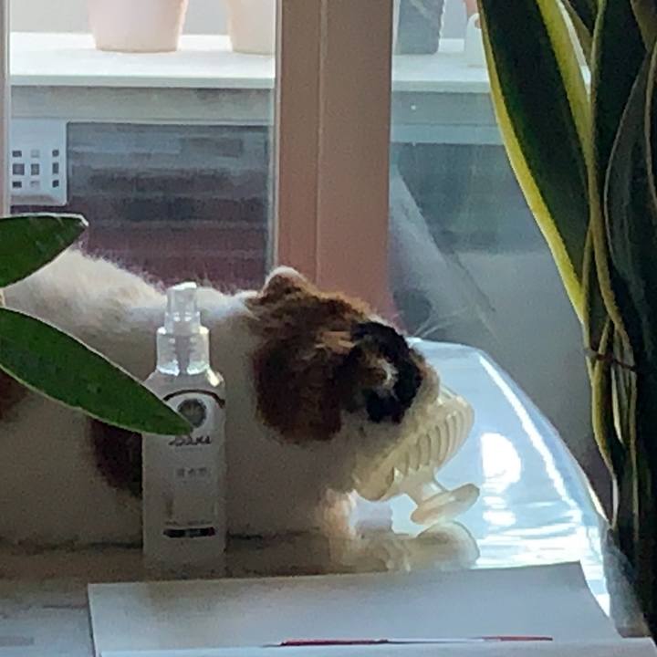 2ecbe641 e6bb 4f7e a710 1adea5989909 1568385972711