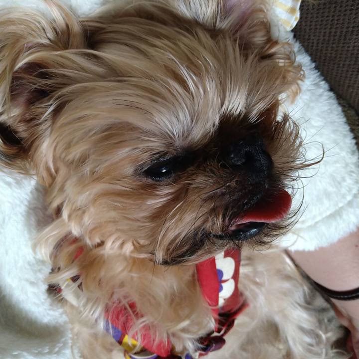 2ecc220d 955e 4b5a a12f c4a93f357002 1610974880530