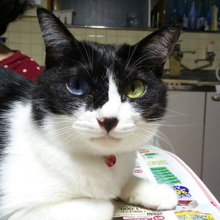 2ecc8955 2843 4018 9156 7f2e88a4a596 1536657142699