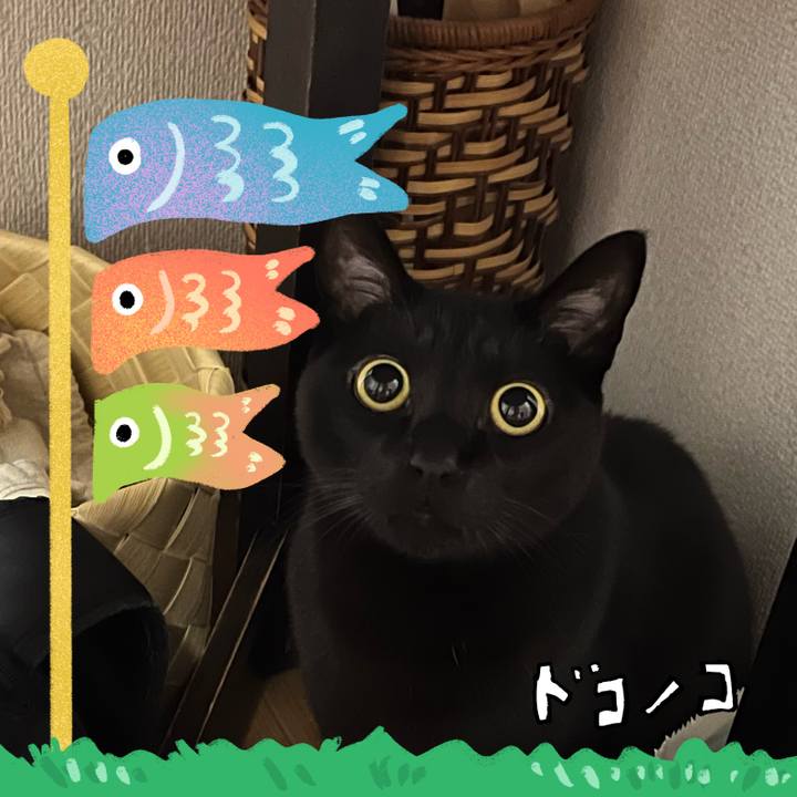 2ecc8fc9 a61c 45f5 a7fb b596e63ceddf 1714910712737