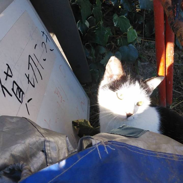 2ecccb13 879e 4e05 969d 7e043b8b3668 1608282436098