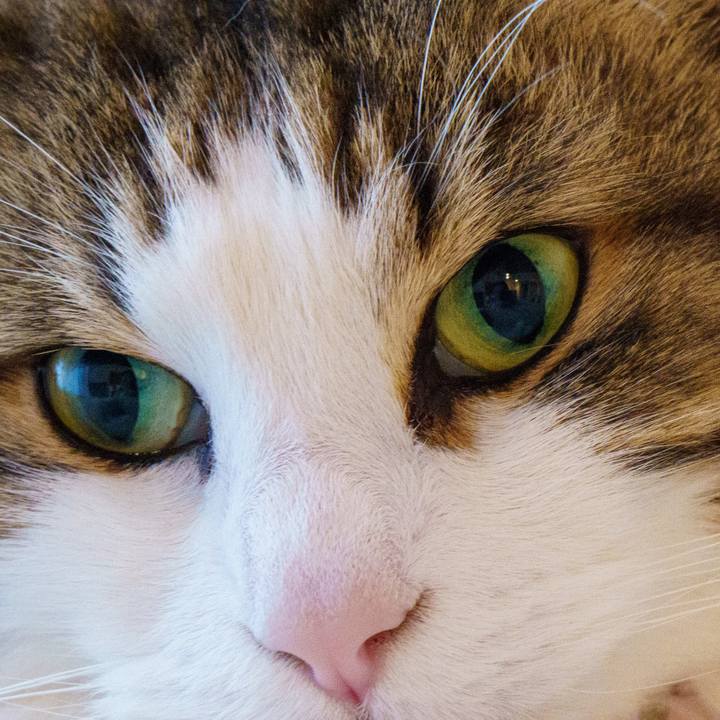 2ecd06fa 3e77 4ee5 b04b 528eedbc745c 1647085244829