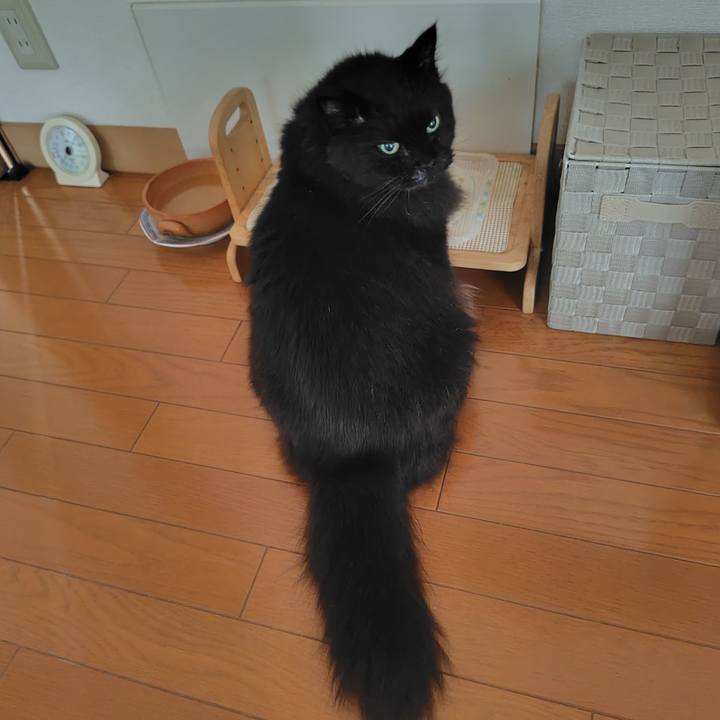 2ecd3153 ff25 4138 8f04 e81e6c612ade 1721723714703