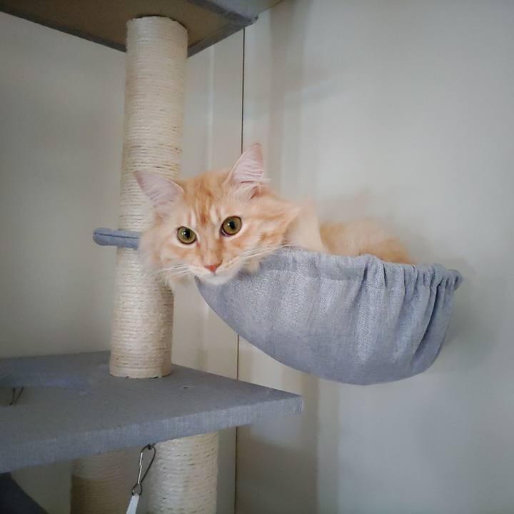 2ecd38d6 04e6 48d2 b94d 97954186f395 1662969673698