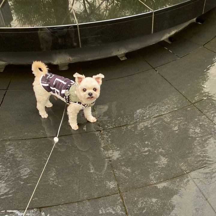 2ecd72bb 338b 4359 b56f 7772803add61 1752914460082