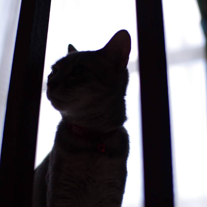 2ecda32e fe6a 48a4 92d6 e230e66ed01a 1537855691075