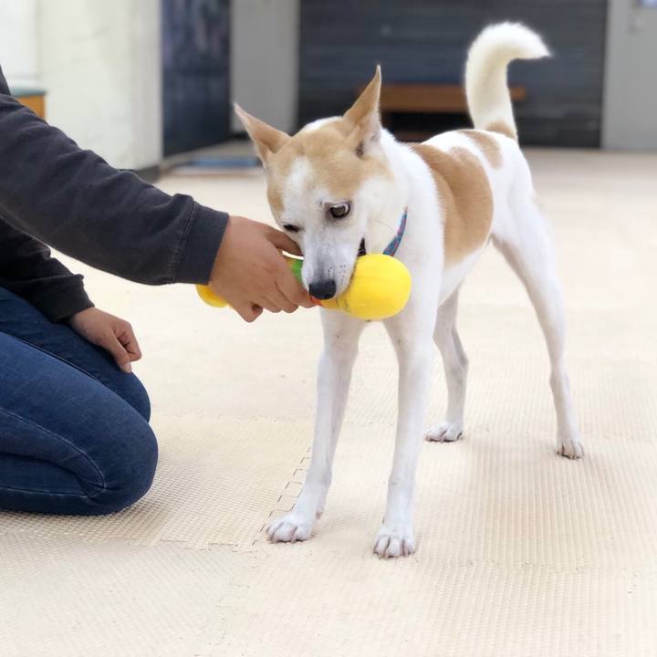 2ecdc536 d1de 4433 b6b5 aa1b6a6a0c86 1591919893000