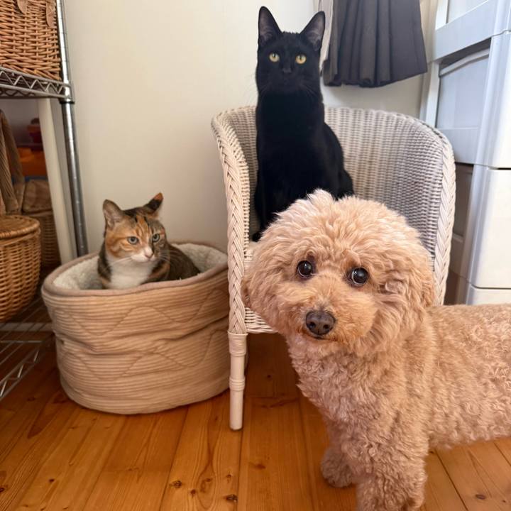 2ece1a67 3c3c 4969 9106 17c426457256 1765148386459