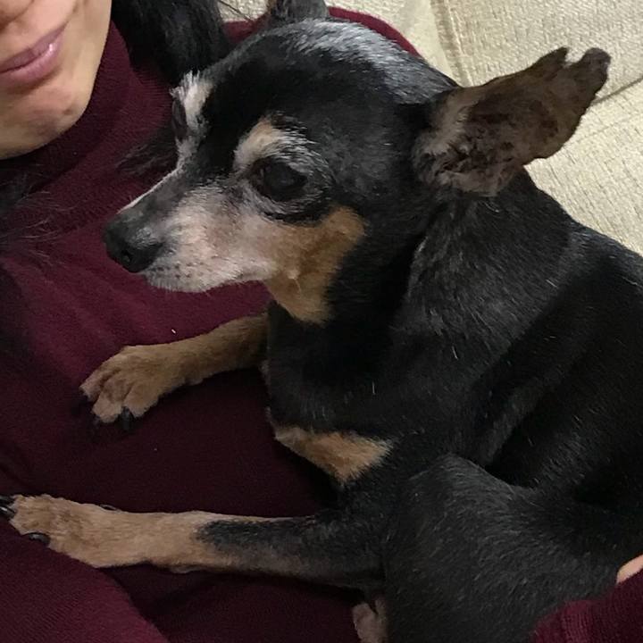 2ece33e0 51e3 4708 870f 912d52d2eeb7 1547268860747