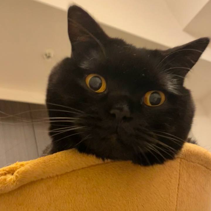 2ece3b77 4ccc 4e21 b80d aca1f526af52 1732973678070