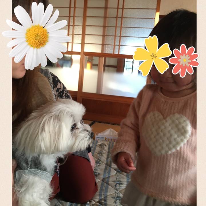 2ece4d70 3fd7 4c0f 8705 b0d7288f9b99 1578019769696