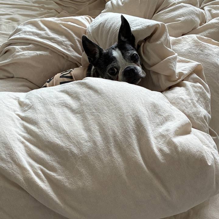 2ece5522 f2a0 4ba8 a32c ead829d3b6c9 1777042779983