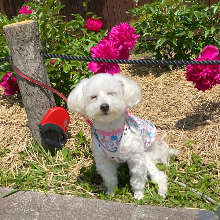 2ece6ab2 30f0 4f41 a384 2013c4acbb51 1683112774959