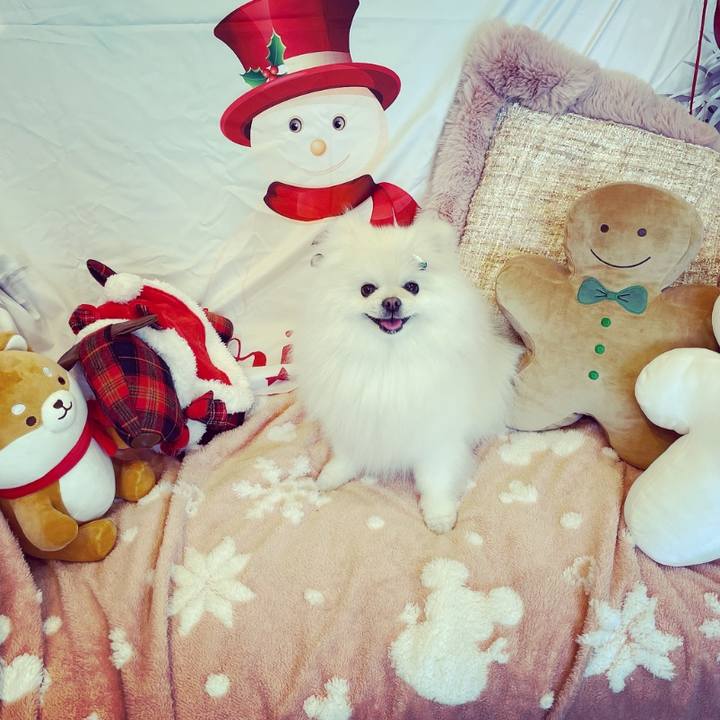 2ece7584 3790 4886 8a15 f08088561207 1639915829242