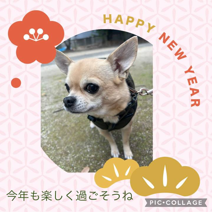 2ece8b81 6544 4abf 9004 bb28a5edb259 1735715097468