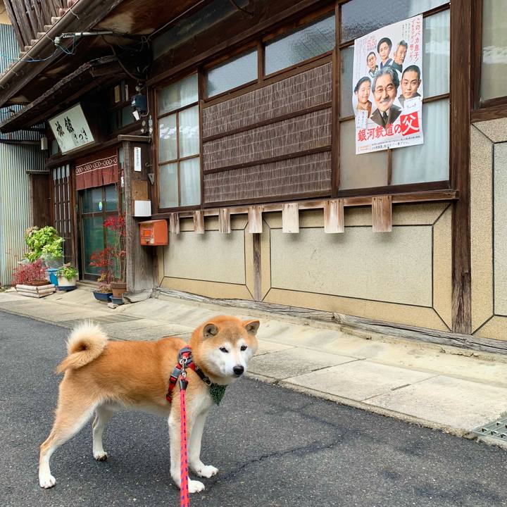 2ece8ff4 ac1a 4f16 bea9 a039143e4201 1675330711572