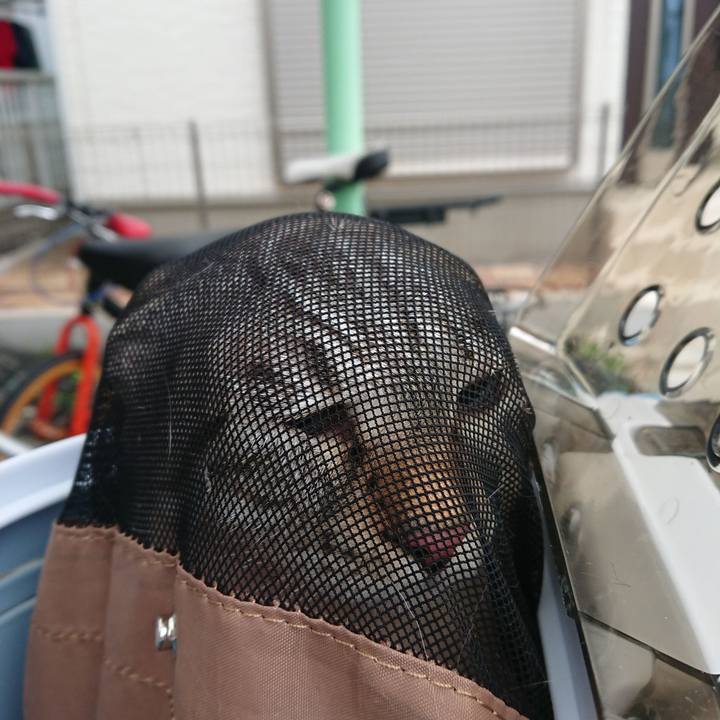 2ecea787 5ff6 4d27 9166 73d94e16b7c5 1529778522764