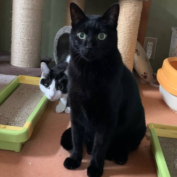 2eceb299 540a 406a 93db ae654f29f69f 1574901006751