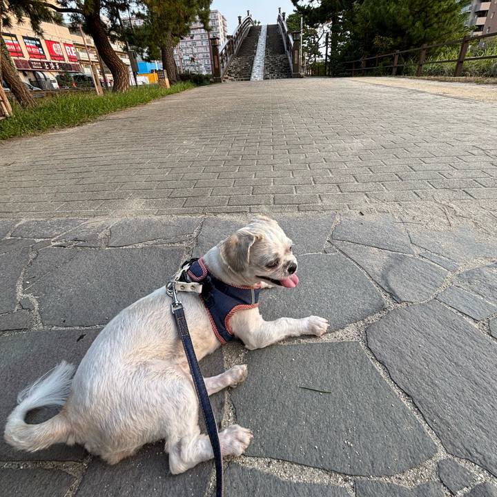 2ecece15 aee6 4f65 a88d 3d3f0c015498 1755895985908