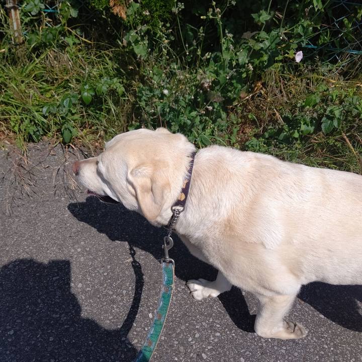 2ececeaf 6d65 4c40 a8fb f76bc048795e 1684369878495