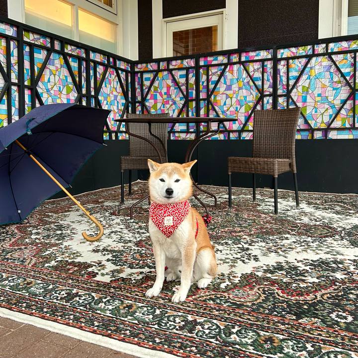 2ececeef 0d97 4c18 8a91 2ae19a039acf 1711277929835