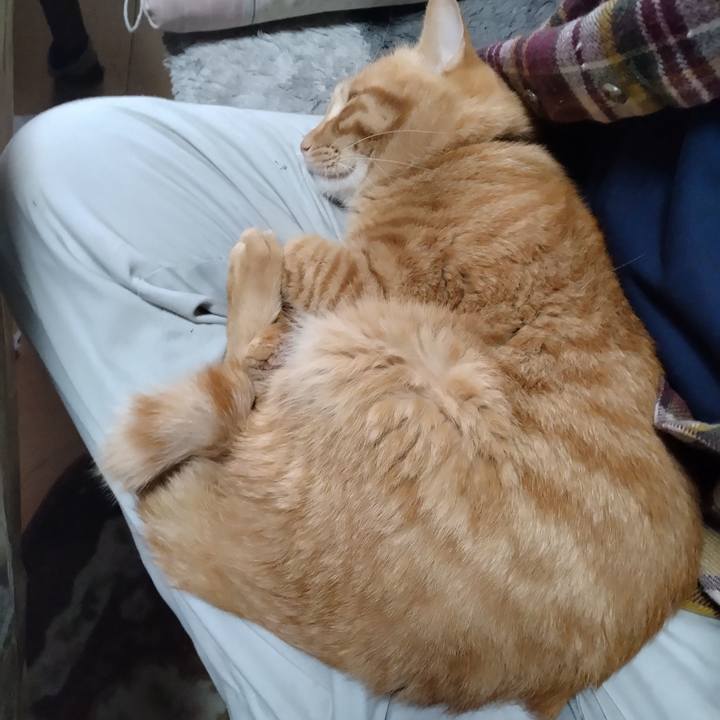 2eced42e bab0 4f53 aa9f c661018459dd 1667542480562