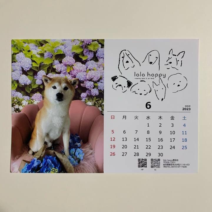 2eced62c 9605 4cb1 8ef5 461a8cf5a5d4 1684832591283