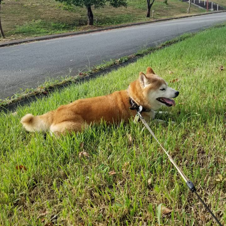 2ecf2f49 cb8e 4658 9380 4ce42b949c01 1693811546773