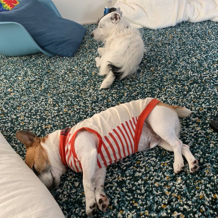 2ecf3d1b 6887 4b39 b2e3 ab8dae040da1 1588481117569