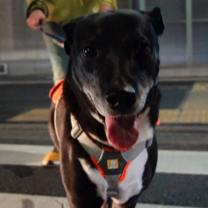 2ecf69cf 7b78 45a4 8b97 974605ca03e1 1730631787610