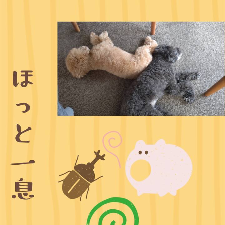 2ed0694f 605b 44b0 b9c4 e384f804f349 1660269805466