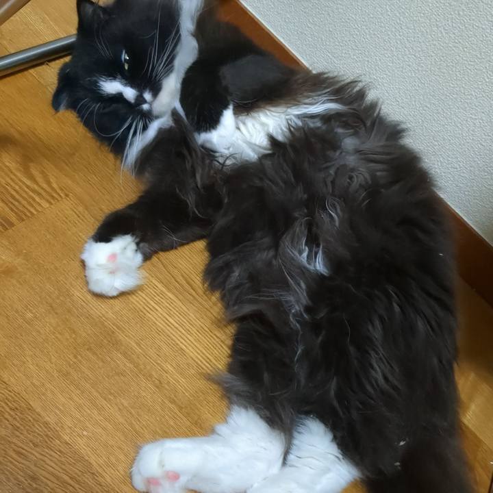 2ed070a0 e2e0 43db b6fb 44e28f9dbb0e 1720667817751