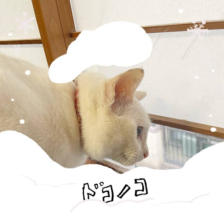 2ed094f1 d284 4145 bd12 1c4d6b2bd794 1772059562160