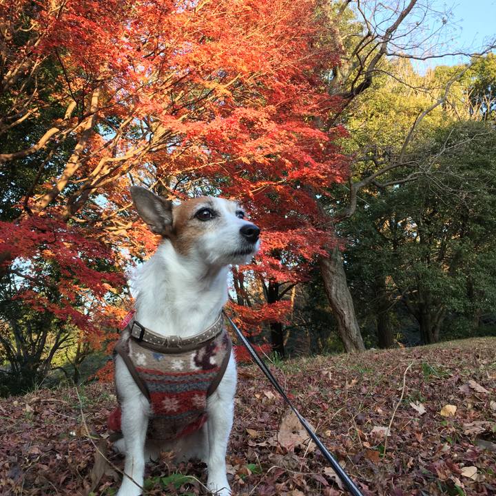 2ed095a5 47d8 42e4 9fab 5443173ed9f2 1607297088233